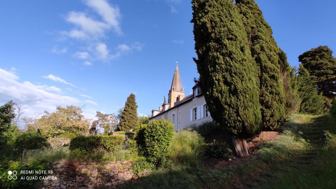 L'Angeline Bed & Breakfast Gennes-Val-de-Loire Ngoại thất bức ảnh