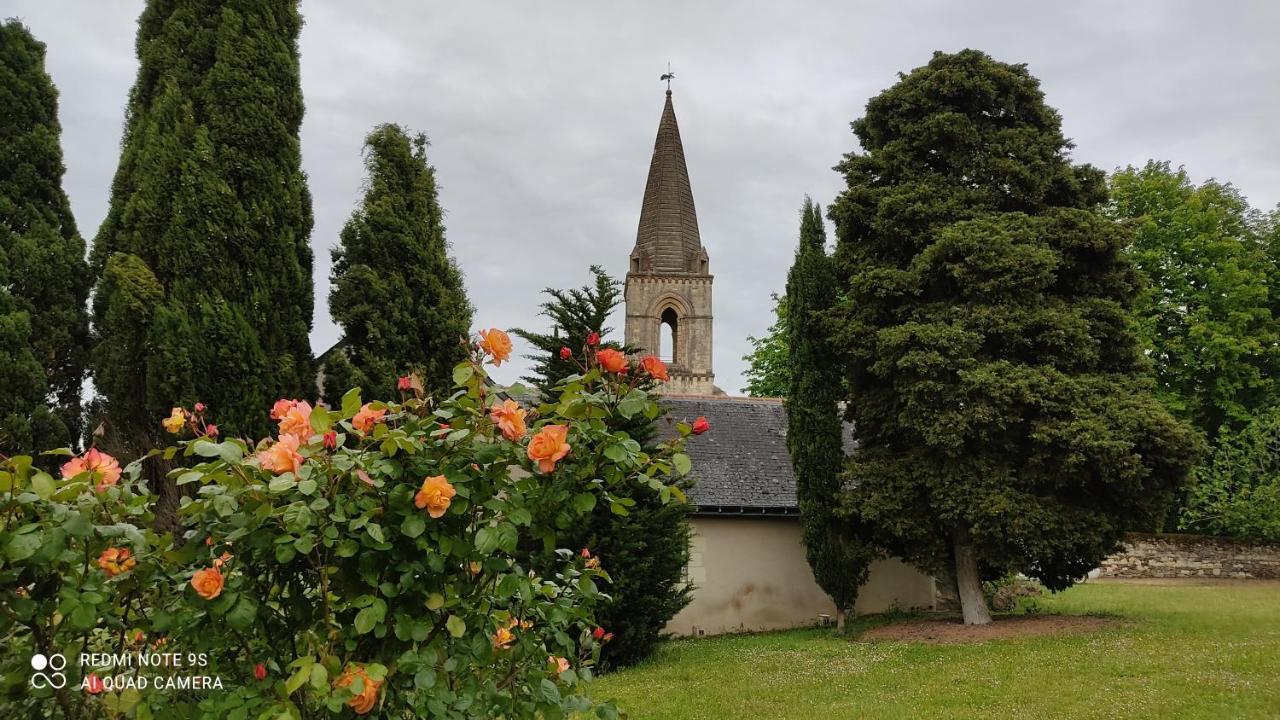 L'Angeline Bed & Breakfast Gennes-Val-de-Loire Ngoại thất bức ảnh